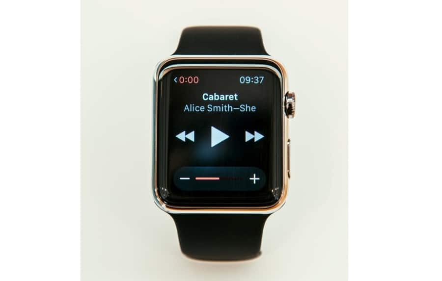 Spotify Apple Watch Offline Playback 21 Tech Devised